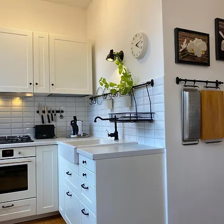 2 Min To Island! Spacious Family-Sized Old Town Apt Kaunas Exterior photo